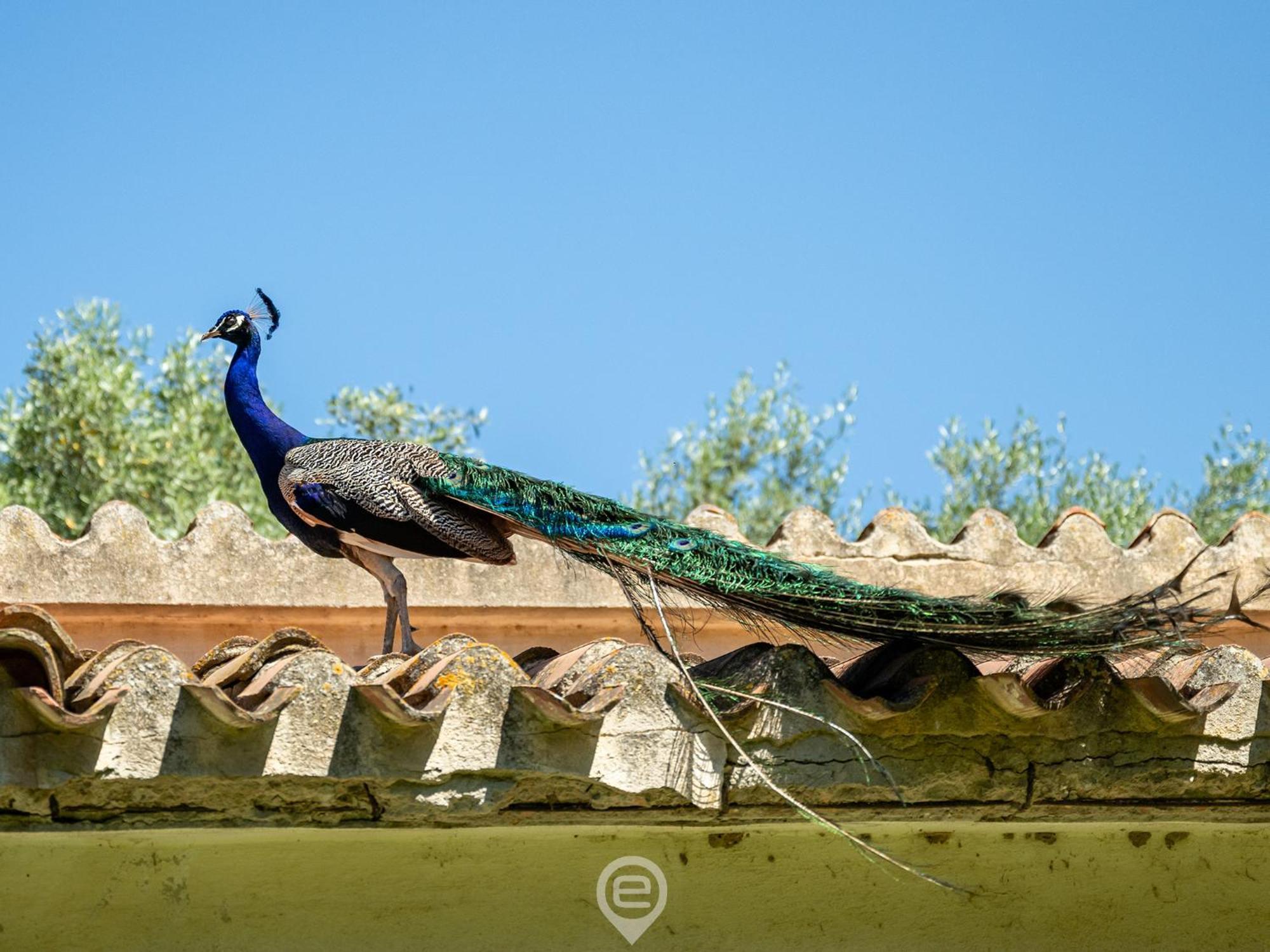 Tanca De Mar Διαμέρισμα Maracalagonis Εξωτερικό φωτογραφία