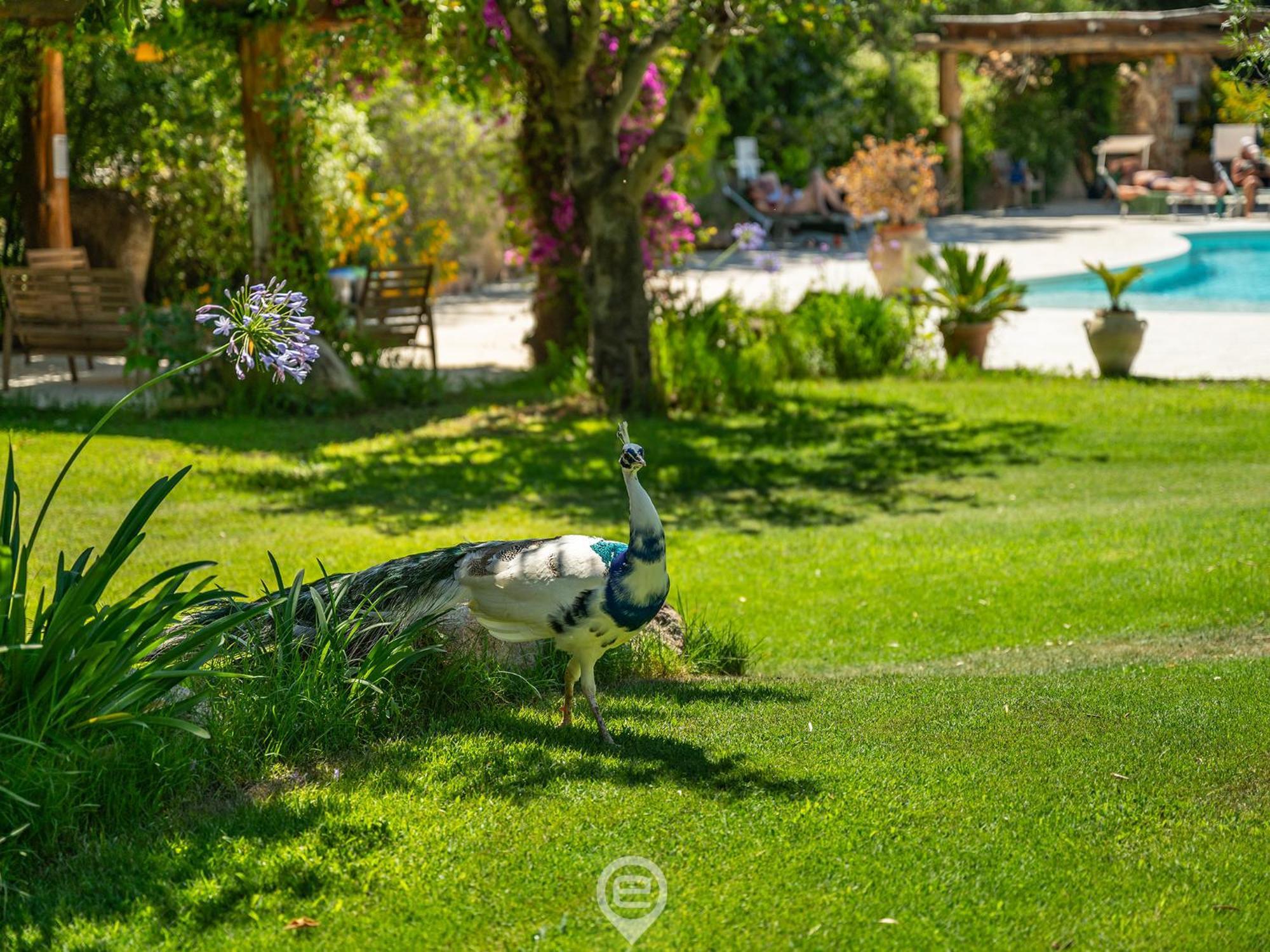 Tanca De Mar Διαμέρισμα Maracalagonis Εξωτερικό φωτογραφία